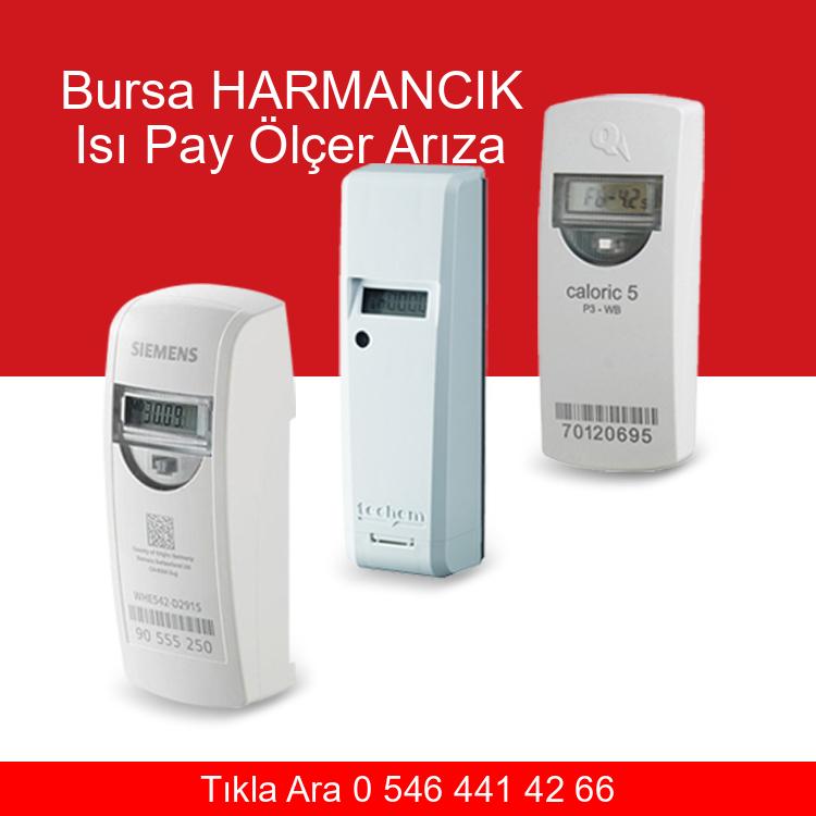 Bursa