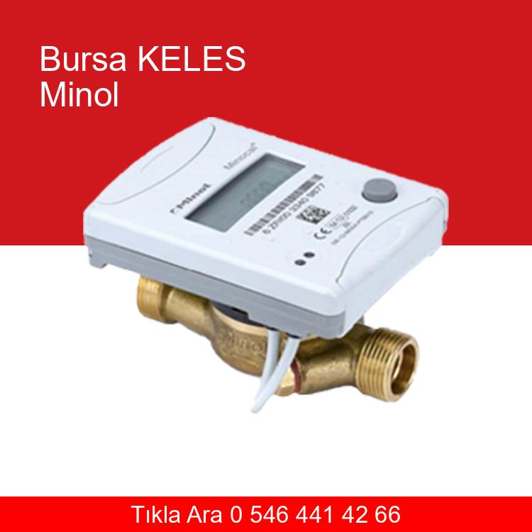 Bursa