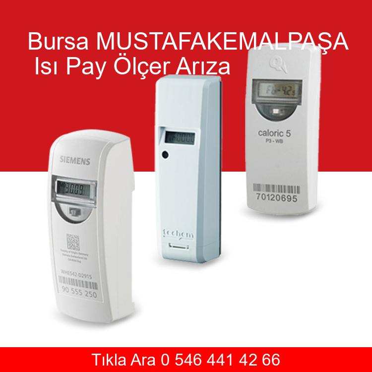 Bursa