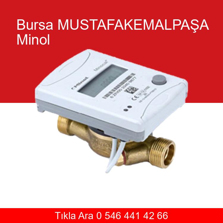 Bursa