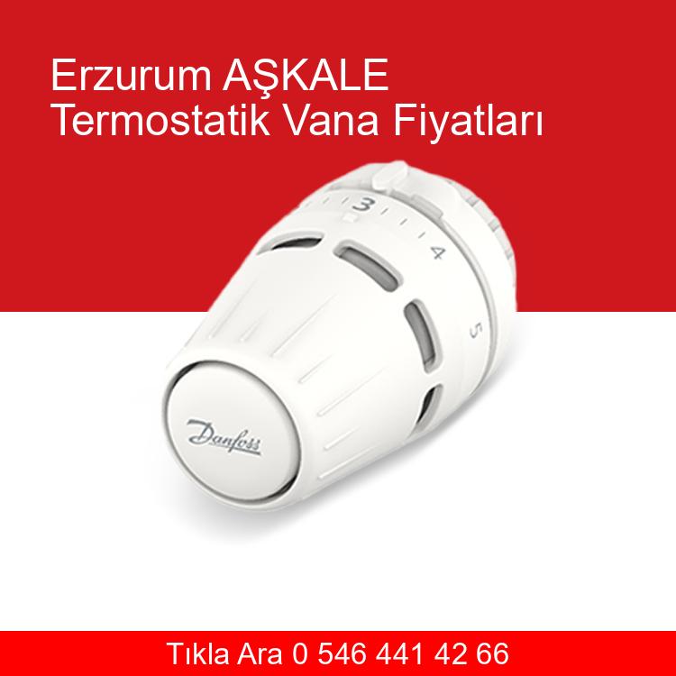 Erzurum