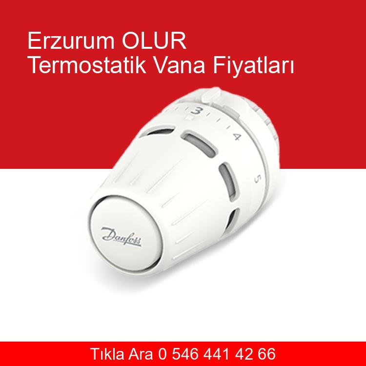 Erzurum